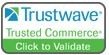 Trustwave Icon